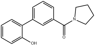 2-(3-Pyrrolidinocarbonylphenyl)phenol Struktur