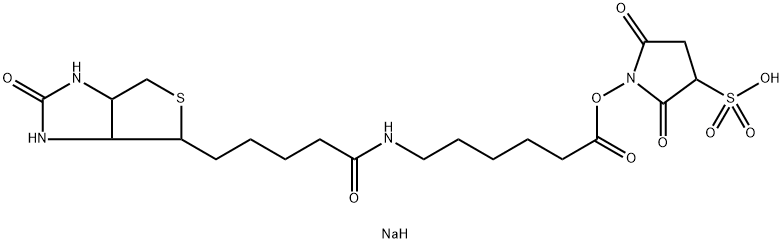 SULPHOSUCCINIMIDYL-6-(BIOTINAMIDO)HEXANOATE price.