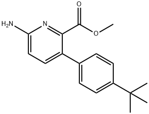 Methyl 6-amino-3-(4-t-butylphenyl)pyridine-2-carboxylate Struktur