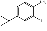 4-tert-Butyl-2-iodo-aniline Struktur