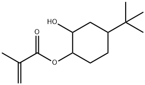 4-tert-butyl-2-hydroxycyclohexylmethacrylate Struktur