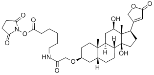 DIGOXIGENIN NHS-ESTER Struktur