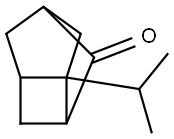 Tricyclo[3.2.1.03,6]octan-2-one, 6-(1-methylethyl)- (9CI) Struktur