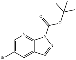 1-Boc-5-broMo-1H-pyrazolo[3,4-b]pyridine Struktur