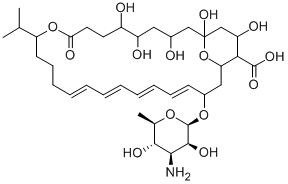 YS 822A Struktur