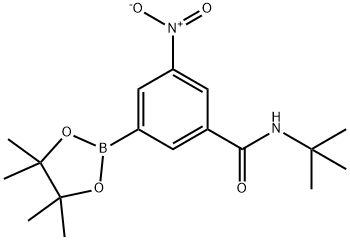 BenzaMide, N-(1,1-diMethylethyl)-3-nitro-5-(4,4,5,5-tetraMethyl-1,3,2-dioxaborolan-2-yl)- Struktur