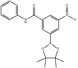 BenzaMide, N-[3-nitro-5-(4,4,5,5-tetraMethyl-1,3,2-dioxaborolan-2-yl)phenyl]- Struktur