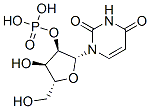 uridine 2'-monophosphate Struktur