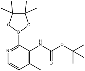 Boc-3-AMino-4-Methylpyridine-2-boronic acid pinacol ester Struktur