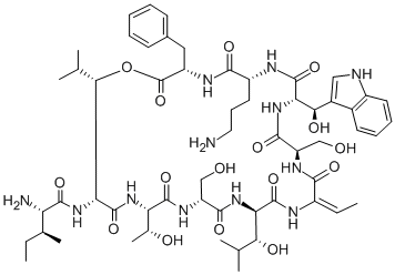 janthinocin A Struktur