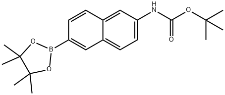 tert-butyl 6-(4,4,5,5-tetraMethyl-1,3,2-dioxaborolan-2-yl)naphthalen-2-ylcarbaMate Struktur