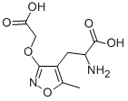 AMOA NON-NMDA GLUTAMATE RE Struktur