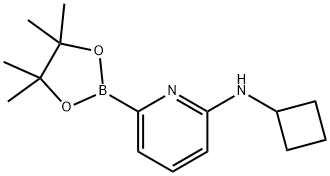 6-(CYCLOBUTYLAMINO)PYRIDINE-2-BORONIC ACID PINACOL ESTER Struktur