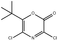 2H-1,4-Oxazin-2-one,  3,5-dichloro-6-(1,1-dimethylethyl)- Struktur