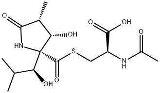 LACTACYSTIN Struktur