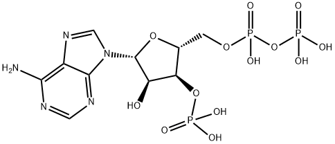 adenosine 3'-phosphate 5'-diphosphate Struktur