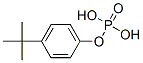 p-tert-butylphenyl dihydrogen phosphate Struktur