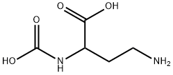 Butanoic acid, 4-amino-2-(carboxyamino)- (9CI) Struktur