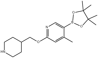 4-Methyl-2-(piperidin-4-ylMethoxy)-5-(4,4,5,5-tetraMethyl-1,3,2-dioxaborolan-2-yl)pyridine Struktur