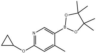 2-cyclopropoxy-4-Methyl-5-(4,4,5,5-tetraMethyl-1,3,2-dioxaborolan-2-yl)pyridine Struktur