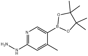 2-hydrazinyl-4-Methyl-5-(4,4,5-triMethyl-1,3,2-dioxaborolan-2-yl)pyridine Struktur