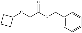 benzyl 2-cyclobutoxyacetate Struktur