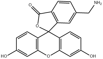 6-(aminomethyl)fluorescein Struktur