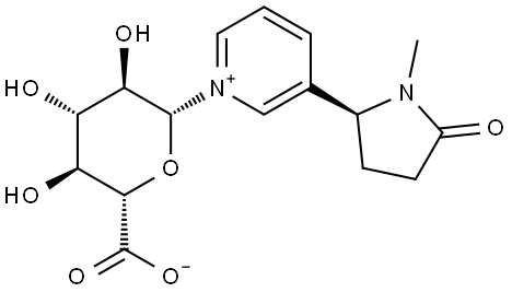 CNG