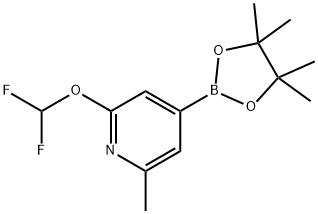 2-Difluoromethoxy-6-methylpyridine-4-boronic acid pinacol ester Struktur