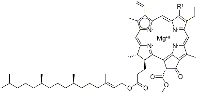 Chlorophylle