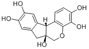 HEMATOXYLIN