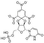 2',3'-O-(2,4,6--trinitrocyclohexadienylidene)uridine 5'-monophosphate Struktur