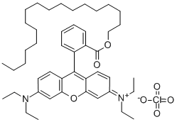 RHODAMINE B OCTADECYL ESTER PERCHLORATE