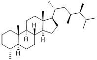 20R 23S 24S-DINOSTERANE Struktur