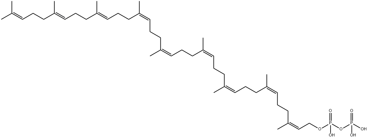  化學(xué)構(gòu)造式