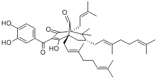 GUTTIFERONE B Struktur