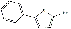 2-ThiophenaMine, 5-phenyl- Struktur