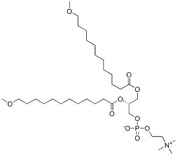 1,2-bis(12-methoxydodecanoyl)-sn-glycero-3-phosphocholine Struktur