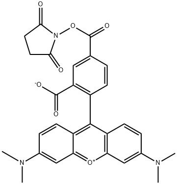 6-CARBOXYTETRAMETHYLRHODAMINE N-HYDROXYSUCCINIMIDE ESTER Struktur