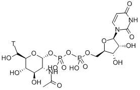 URIDINE 5'-DIPHOSPHO-N-ACETYLGLUCOSAMINE-[GLUCOSAMINE-6-3H(N)] Struktur