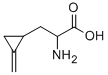 hypoglycin Struktur