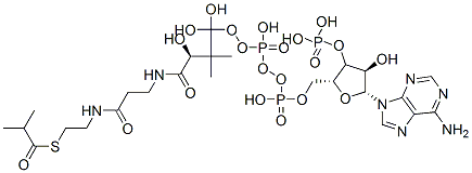 [(2R,3S,4R,5R)-5-(6-aminopurin-9-yl)-4-hydroxy-2-[[hydroxy-[hydroxy-[(3R)-3-hydroxy-2,2-dimethyl-3-[2-[2-(2-methylpropanoylsulfanyl)ethylcarbamoyl]ethylcarbamoyl]propoxy]phosphoryl]oxy-phosphoryl]oxymethyl]oxolan-3-yl]oxyphosphonic acid Struktur