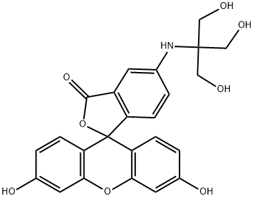 5-tris(hydroxymethyl)methylamino-2-(3,6-dihydroxy-9H-xanthen-10-yl)benzoate Struktur