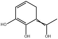 1,3-Cyclohexadiene-1,2-diol, 6-(1-hydroxyethylidene)- (9CI) Struktur