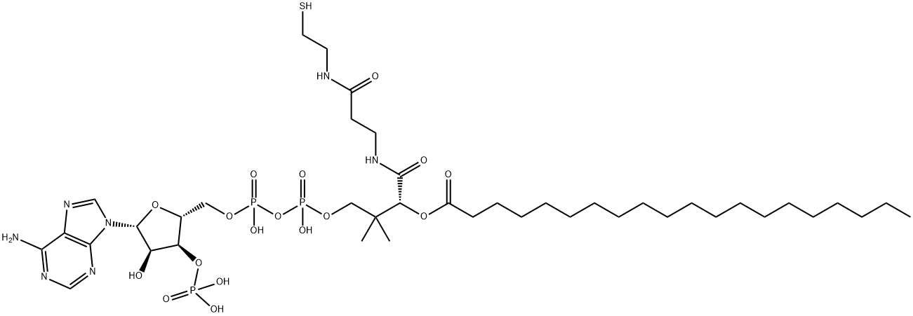 (C20:0) COENZYME A Struktur