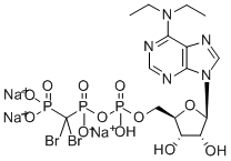 6-N,N-DIETHYL-D-BETA-GAMMA-DIBROMOMETHYLENE ATP Struktur