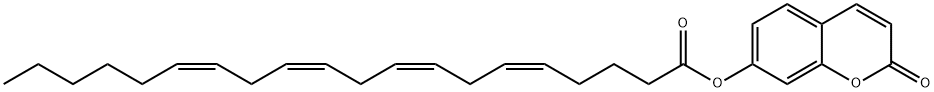 UMBELLIFERYL ARACHIDONATE Struktur