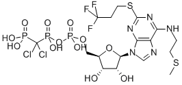 CANGRELOR Structure