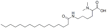 N2,N2-dimethyl-N6-palmitoyl-DL-lysine Struktur