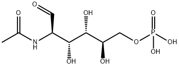 [(2R,3S,4R,5R)-5-acetamido-2,3,4-trihydroxy-6-oxo-hexoxy]phosphonic acid Struktur